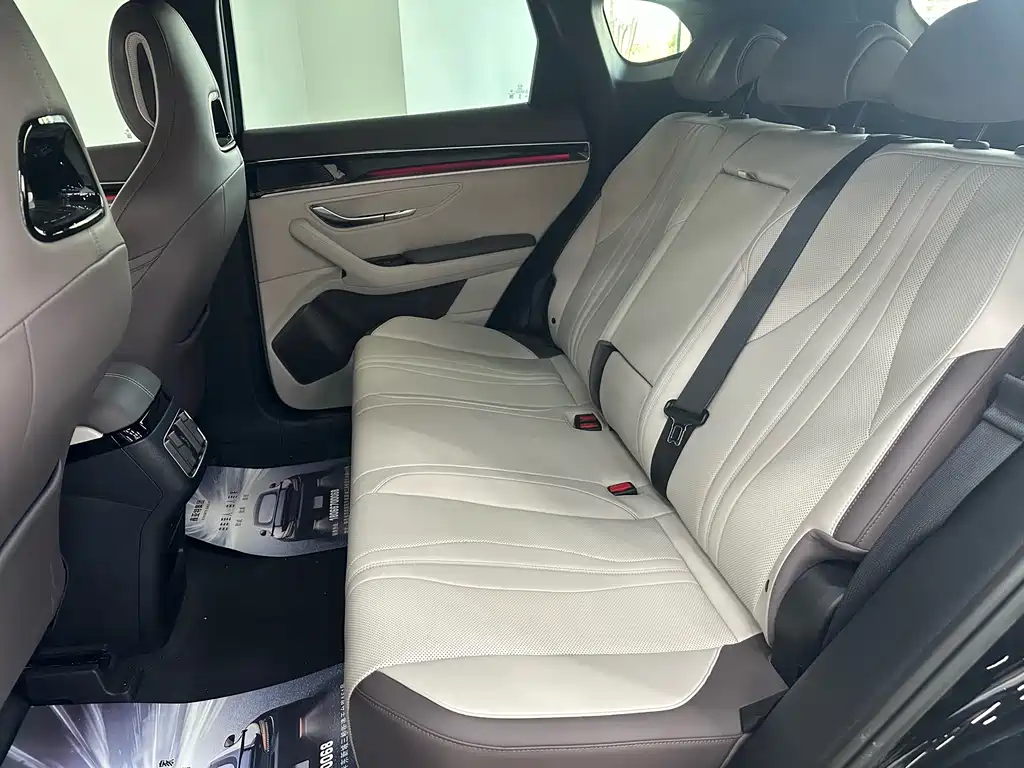 BYD SONGJIANG NEW ENERGY