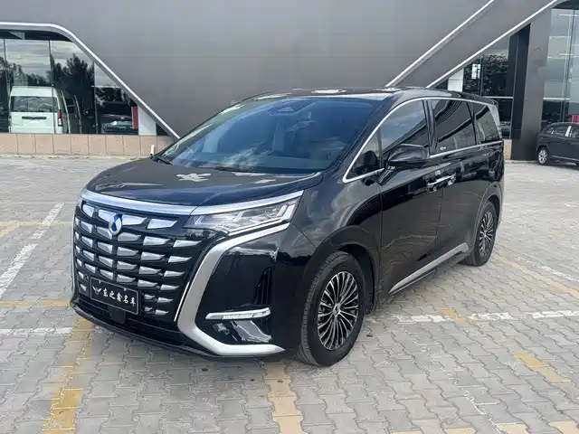 2023 Denza D9