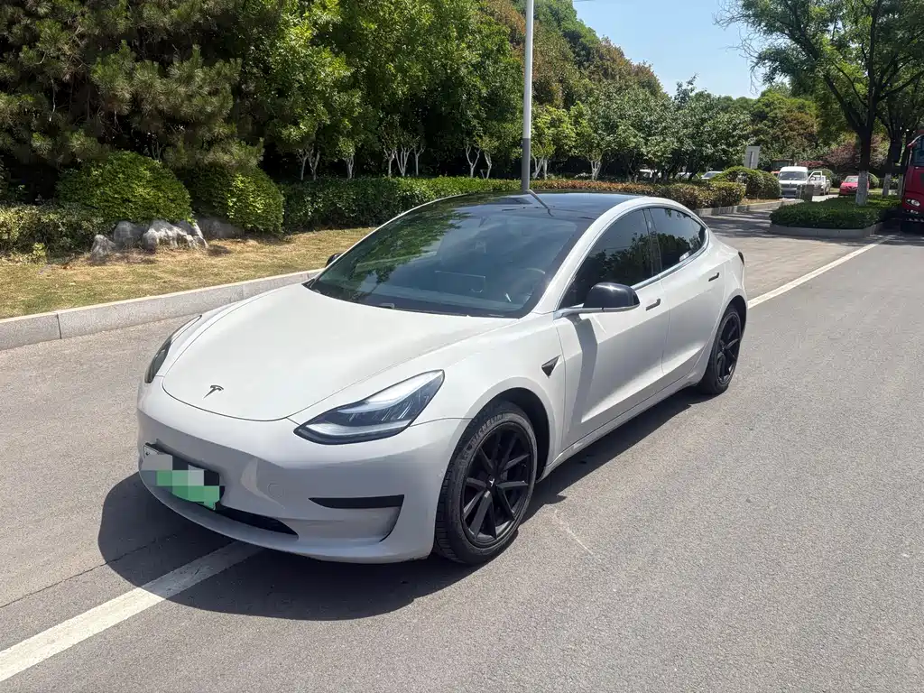 Tesla Model 3 2020