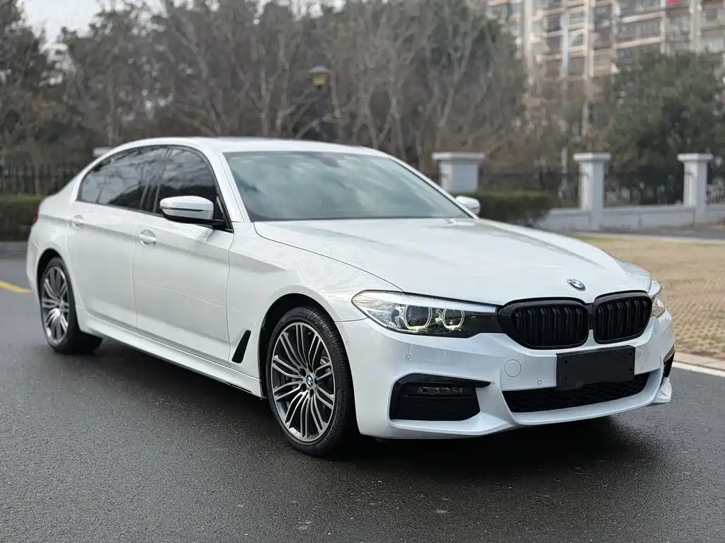 BMW 5 Series 5 2019 530Li Lead M Sport