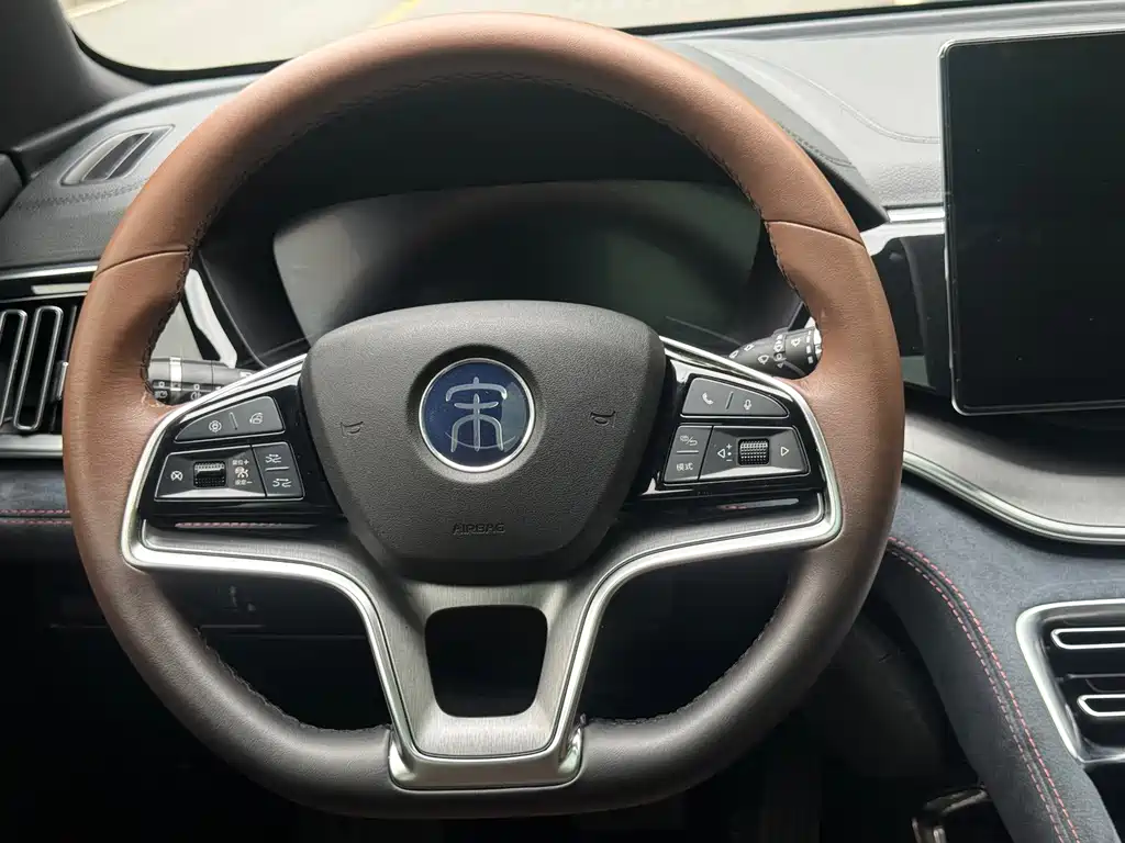 BYD PLUS — миниатюра 10