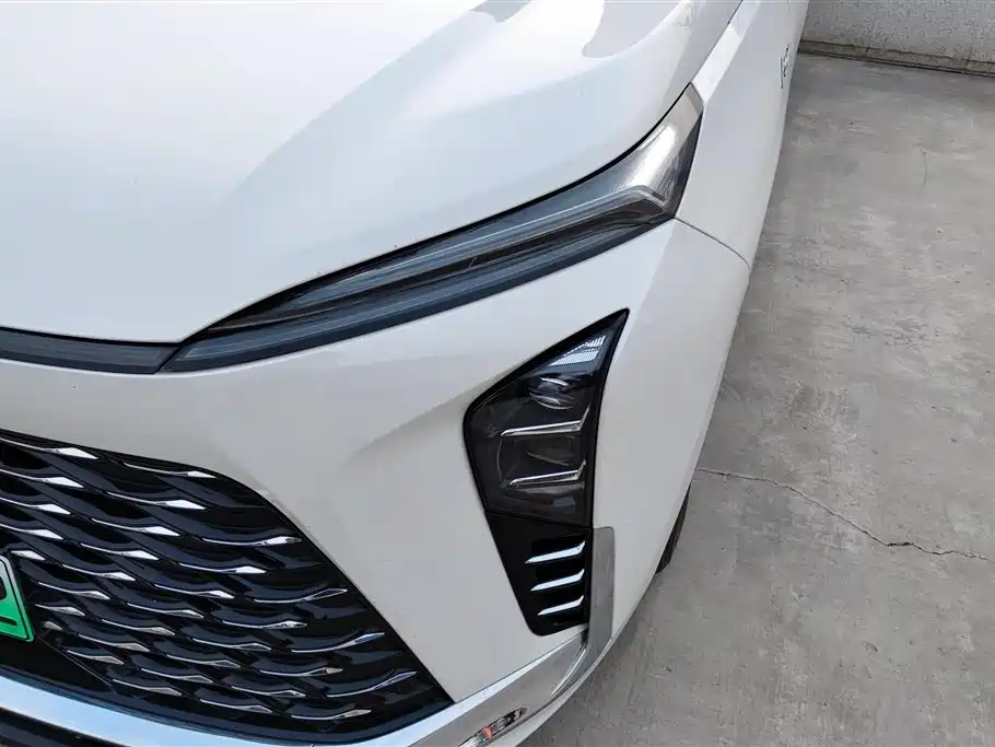 BUICK GL8 NEW ENERGY