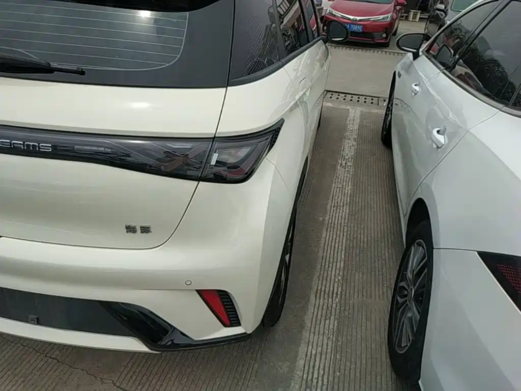 BYD Dolphin 2024 420km Freedom