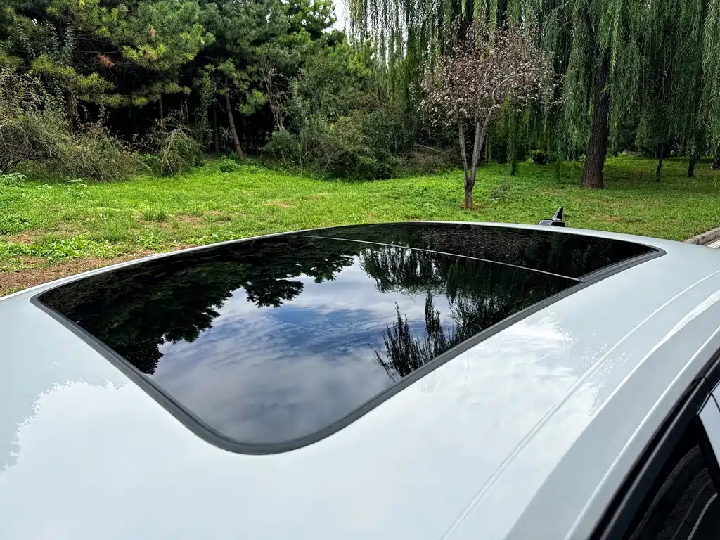 Volkswagen Sagitar — миниатюра 6