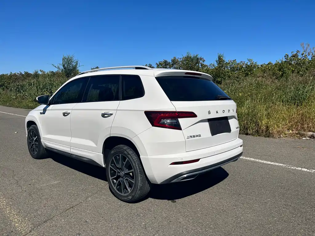Skoda Karoq — миниатюра 5