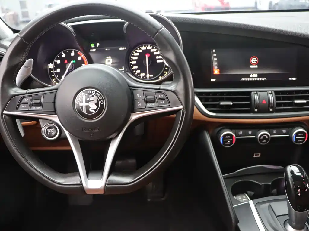 Alfa Romeo Giulia 2.0T 280HP Luxury Edition, фото 18