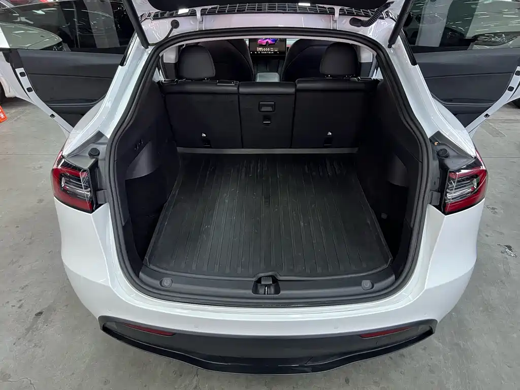 Tesla Model Y — миниатюра 16