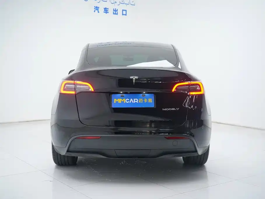 Tesla Model Y — миниатюра 11