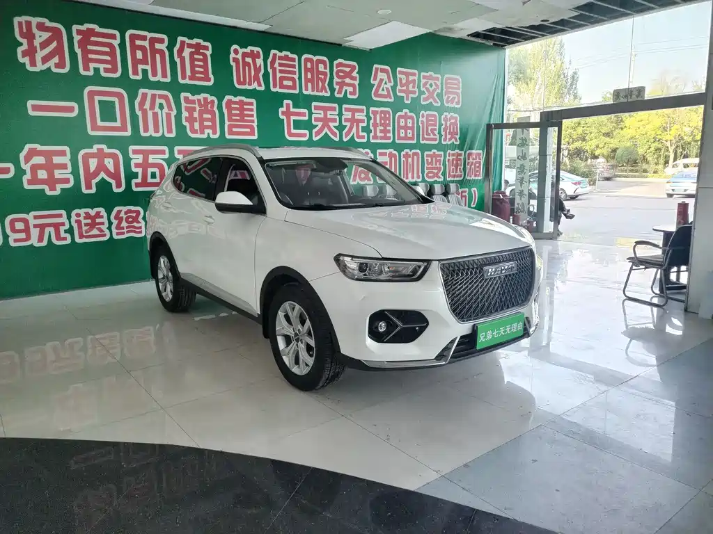 Haval H6 — миниатюра 2