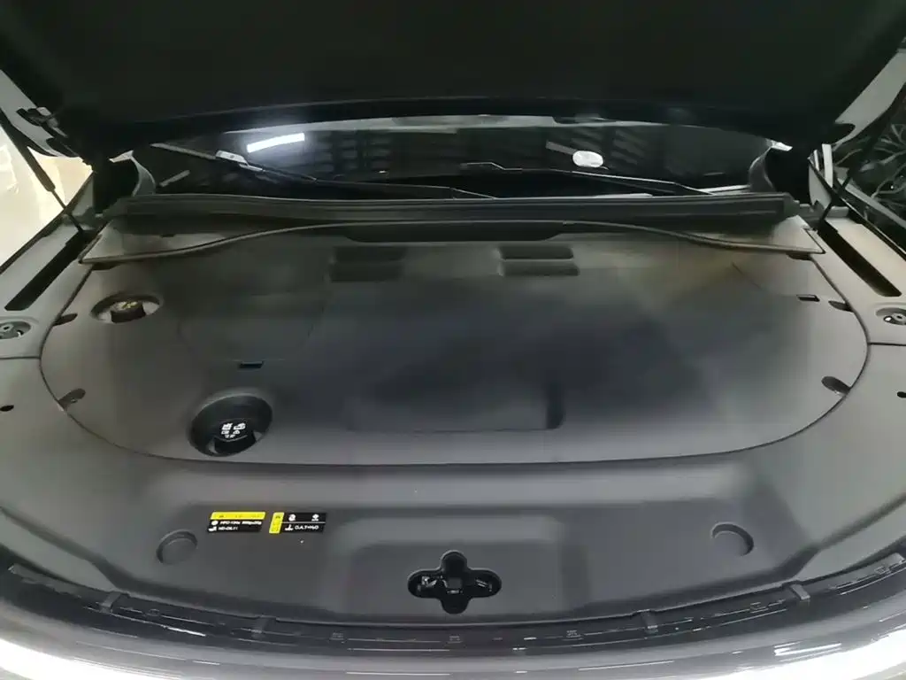 GAC Motor Trumpchi Xiangwang S9 - фото 20