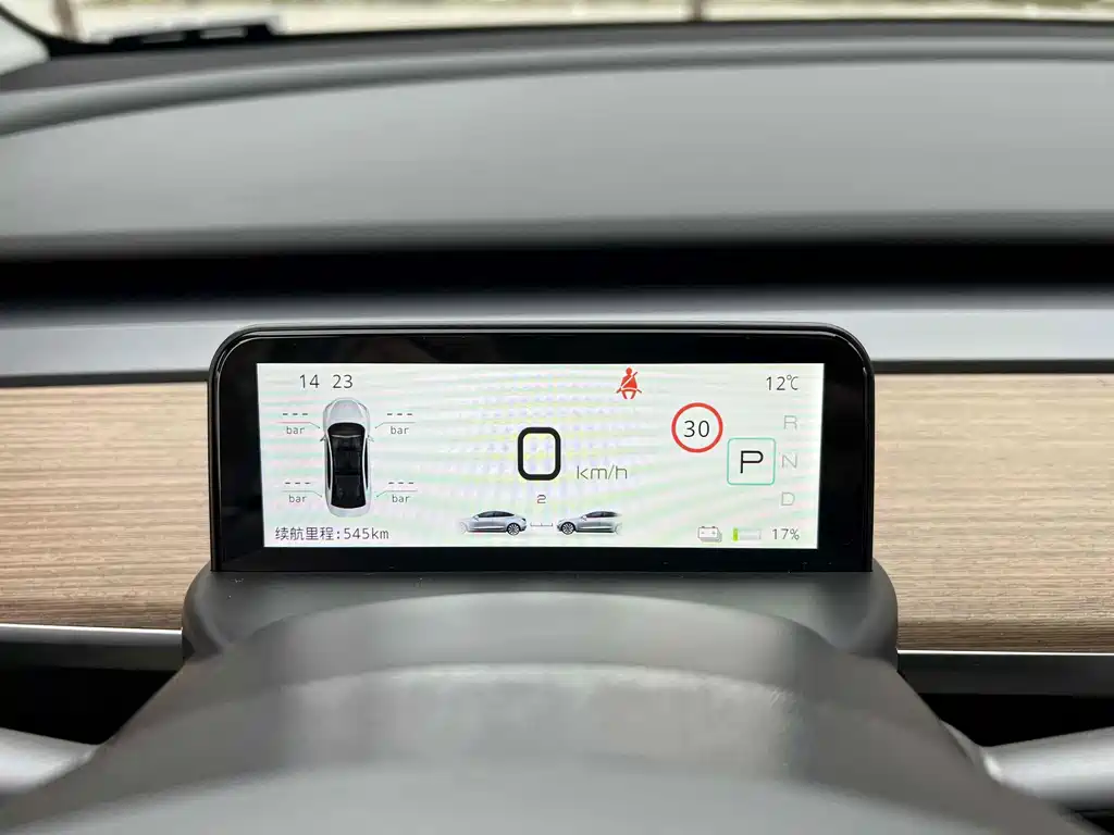 Tesla Model Y — миниатюра 14