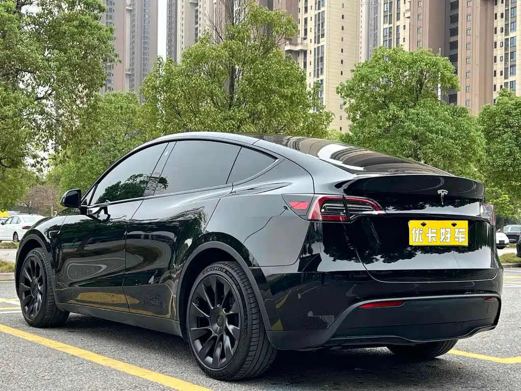 Tesla Model Y — миниатюра 3