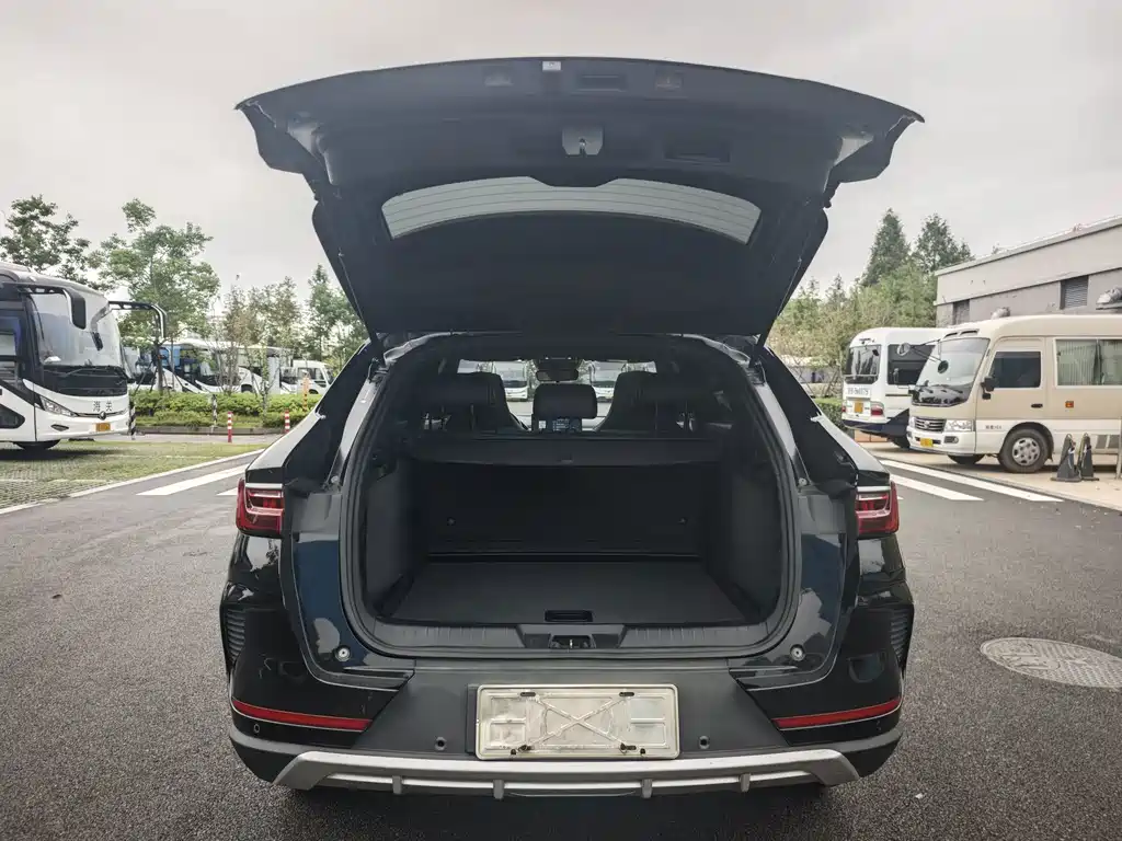 BYD PLUS — миниатюра 13