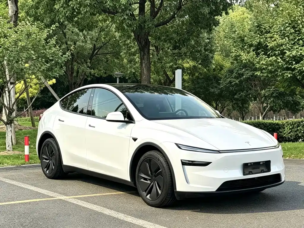 Tesla Model Y — миниатюра 3