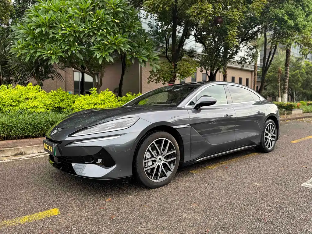 Denza Z9 2024 1100km Max