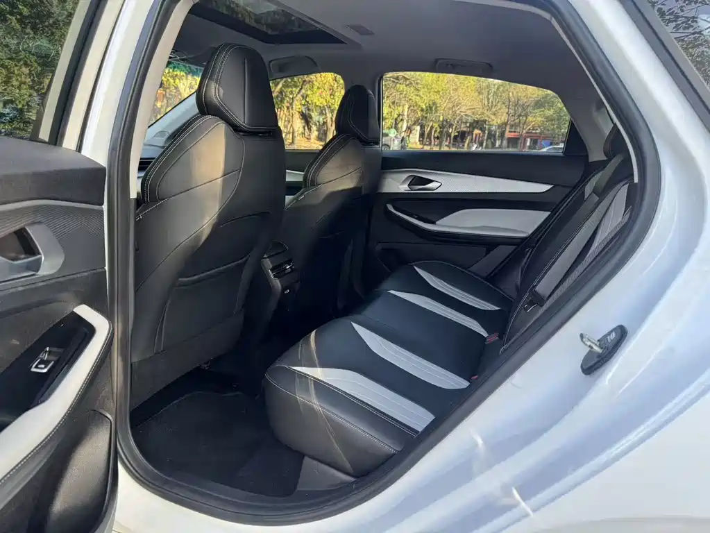 GEELY AUTOMOBILE BINRUI