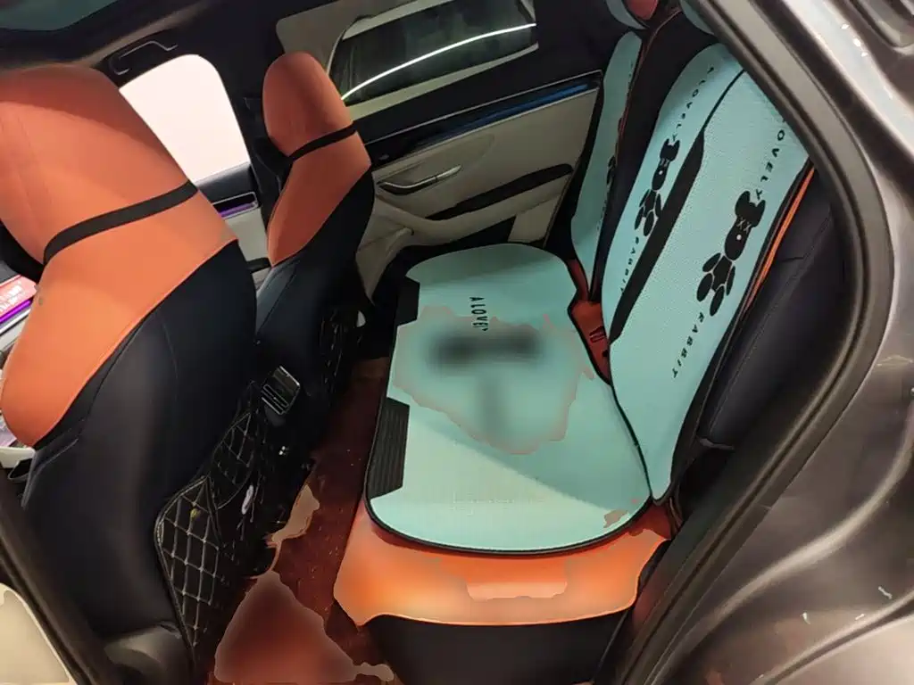 BYD Song Plus DM-i 2021 — фото 16