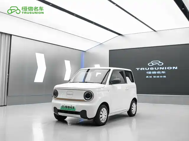 2025 Geely LC (Panda)