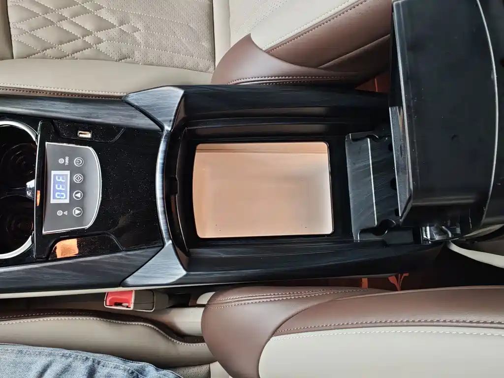 Buick GL8 — миниатюра 12
