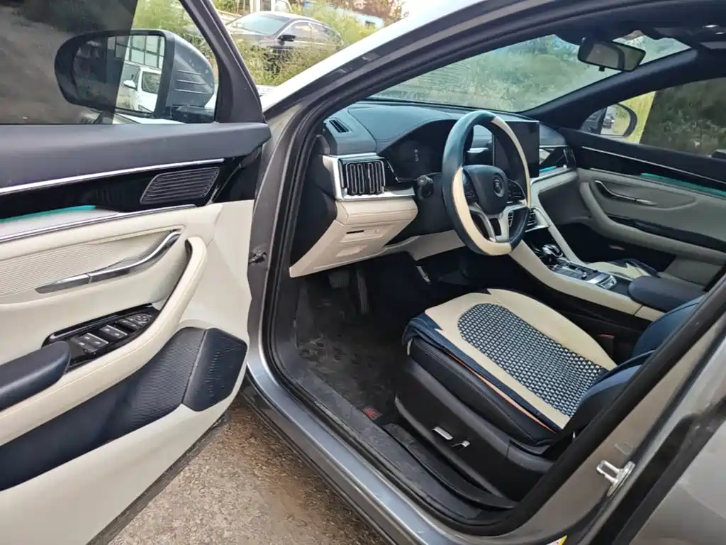 BYD PLUS New Energy — миниатюра 16