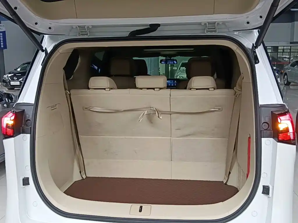 Buick GL8 Hybrid — миниатюра 19