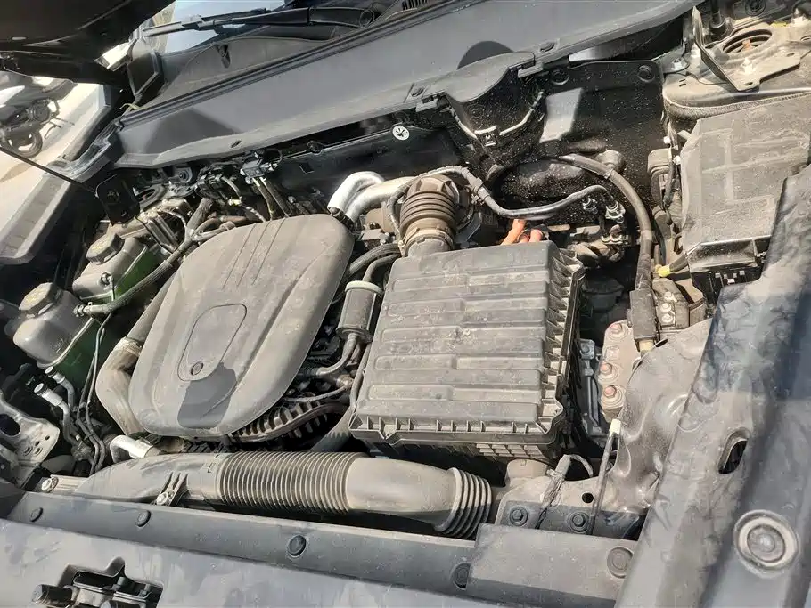 HAVAL RAPTORS NEW ENERGY