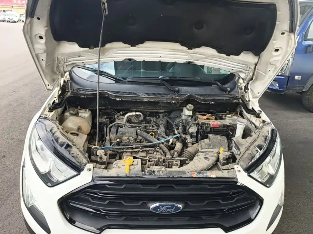 Ford Ecosport — миниатюра 20