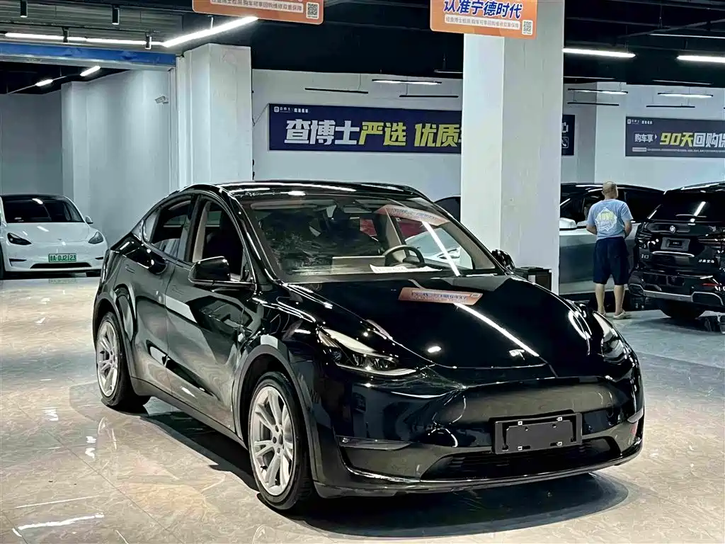 Tesla Model Y — миниатюра 3