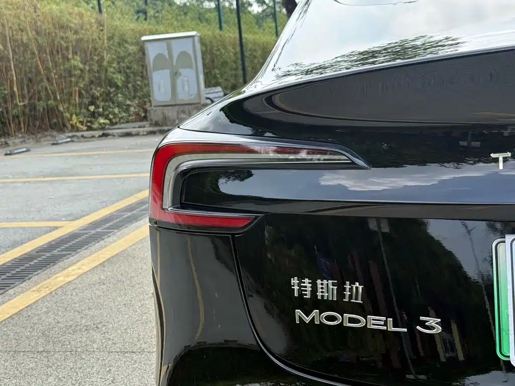 Tesla Model 3 — миниатюра 13
