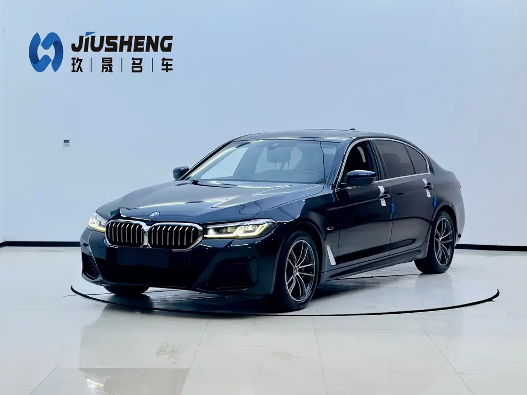 BMW 5 Series New Energy 2022