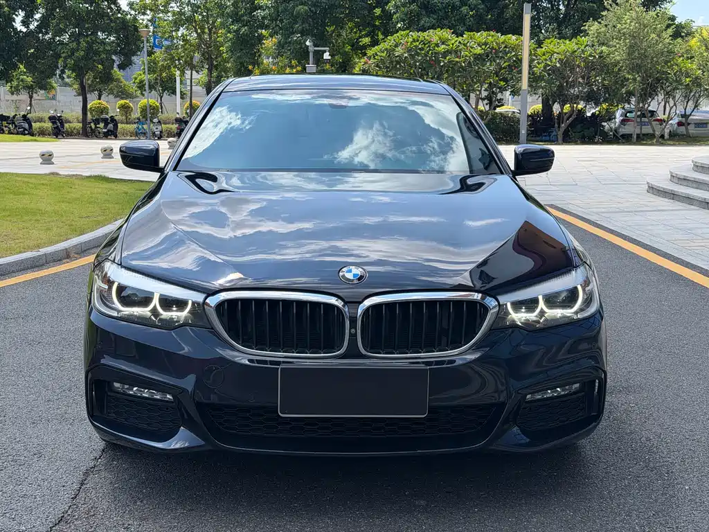 BMW 5 Series — миниатюра 2