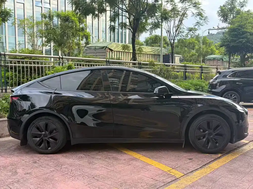 Tesla Model Y — миниатюра 8