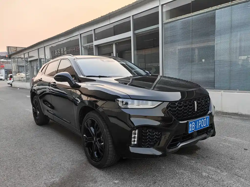 WEI PAI WEI BRAND VV7