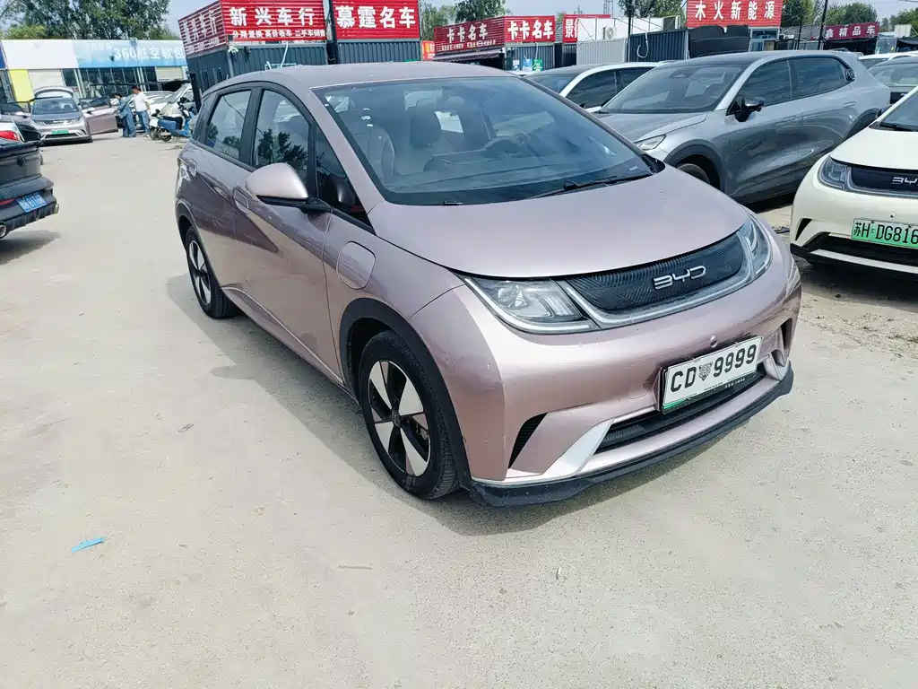 BYD Dolphin — миниатюра 2