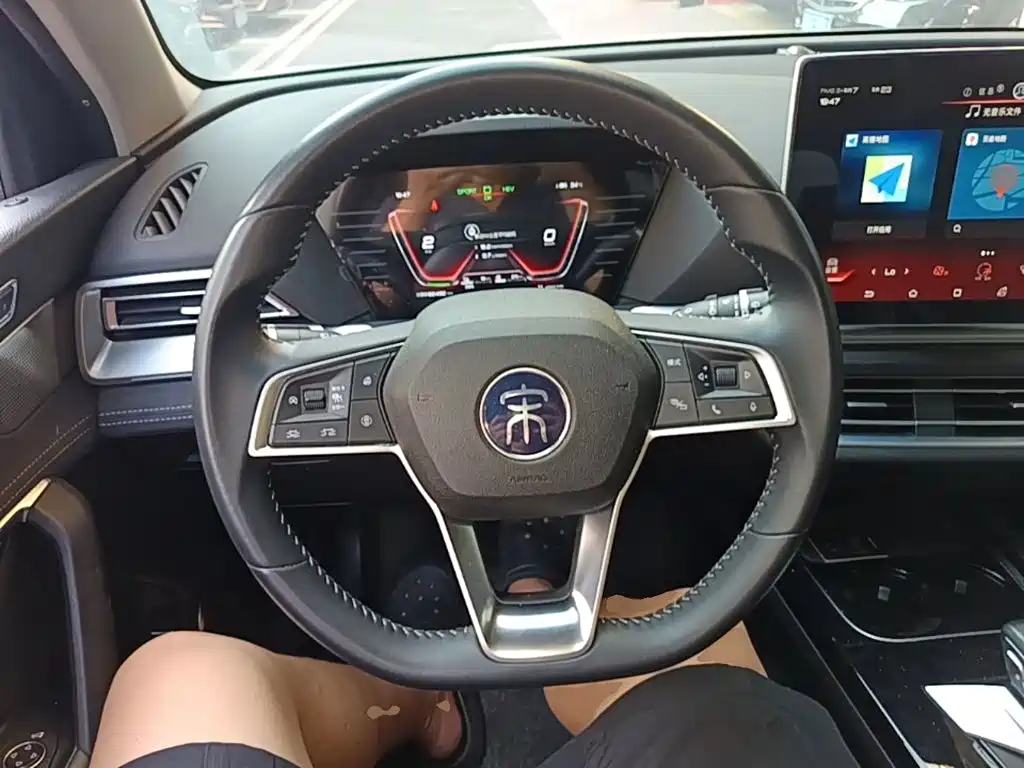 BYD Pro New Energy — миниатюра 11