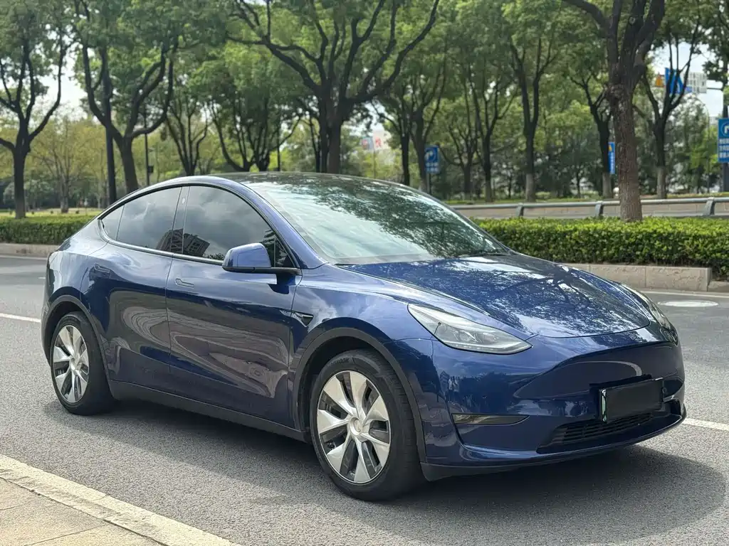 Tesla Model Y — миниатюра 3