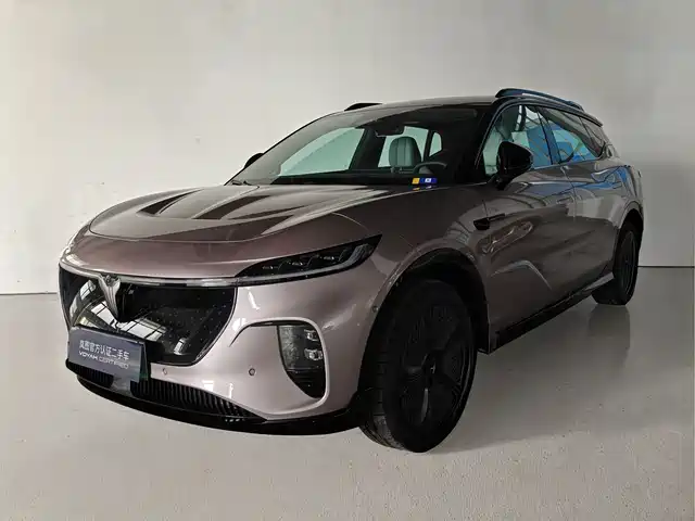 VOYAH LAN TU ZHIYIN 2024