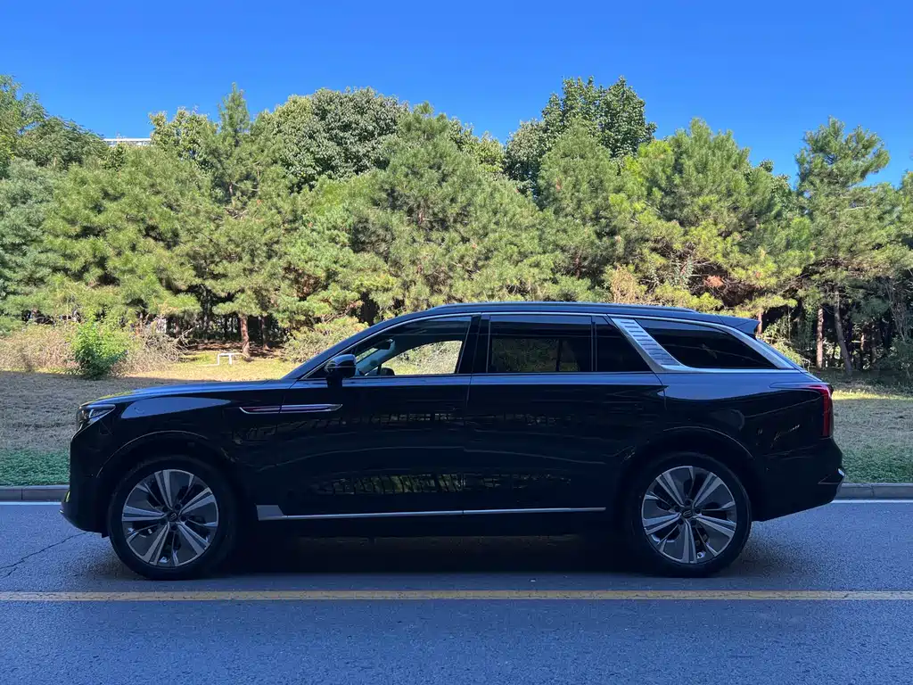 Hongqi Hongqi E-HS9 — миниатюра 4