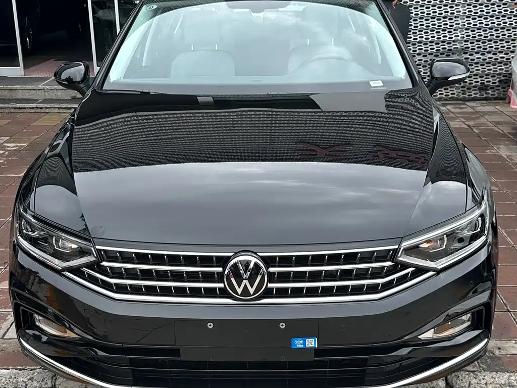 Volkswagen Magotan — миниатюра 2