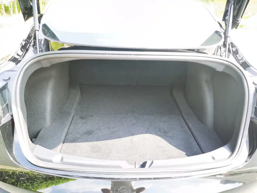 Tesla Model 3 — миниатюра 17