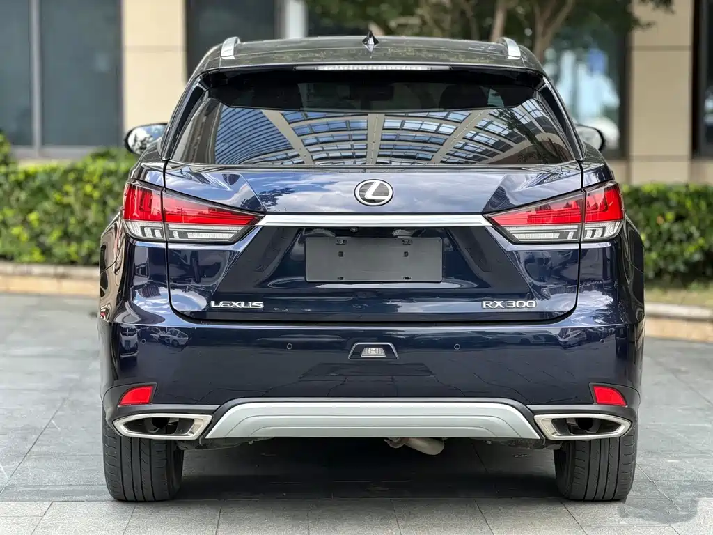 Lexus RX — миниатюра 10
