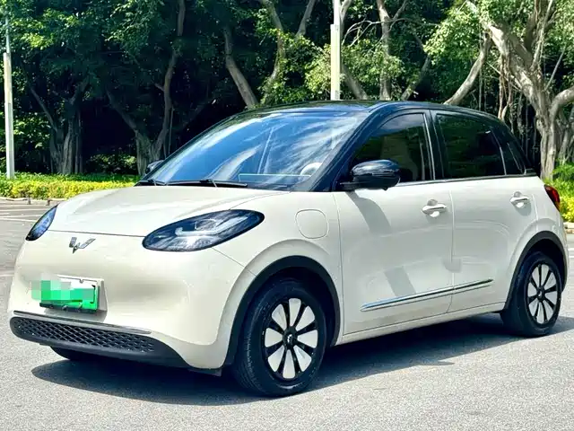 2024 Wuling Motors Binguo