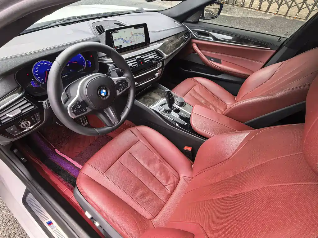 BMW 5 Series 5 2019 530Li Premium M Sport