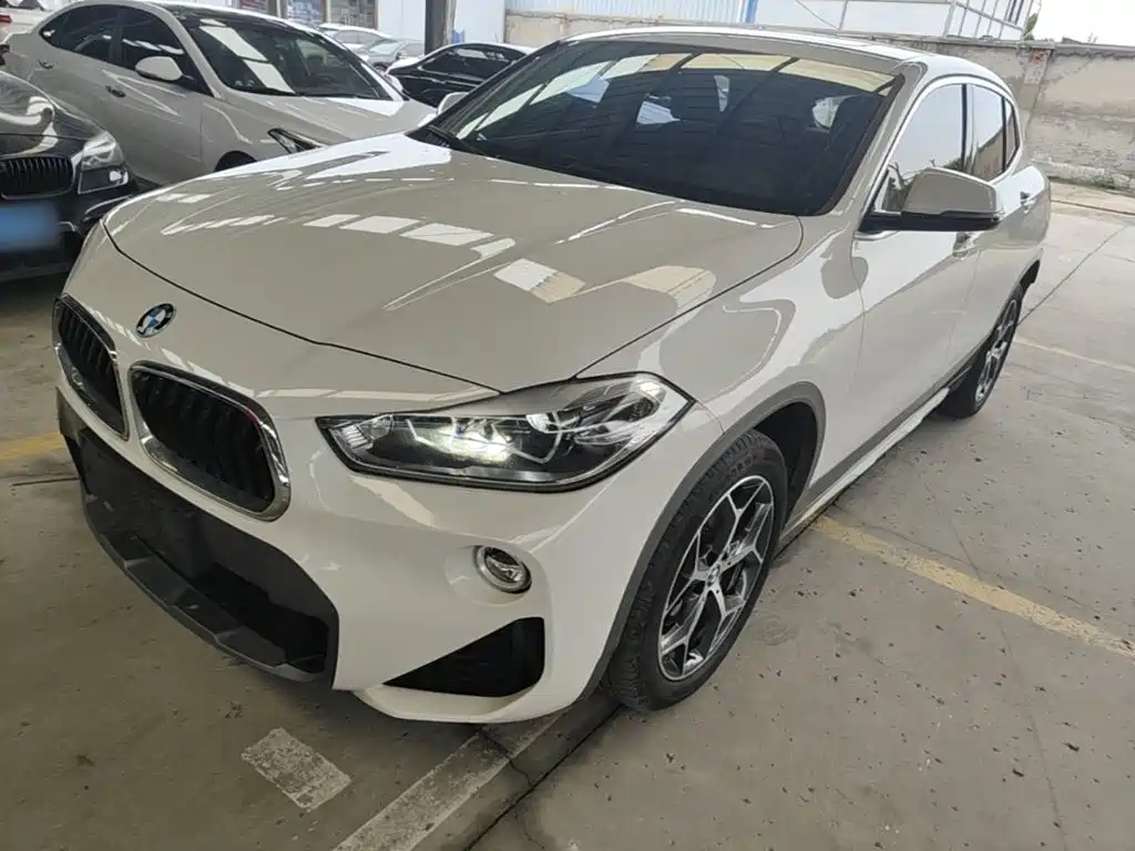 BMW X2 (Import) — миниатюра 2
