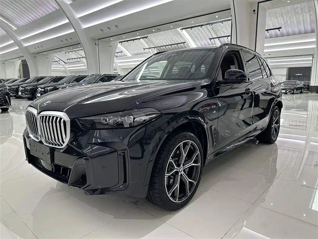 BMW X5 2025
