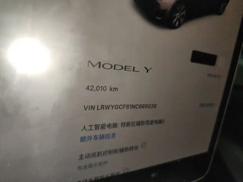 Tesla Model Y — миниатюра 8