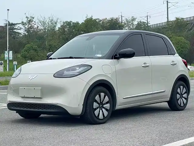 WULING AUTOMOBILE WULING BINGGUO 2024