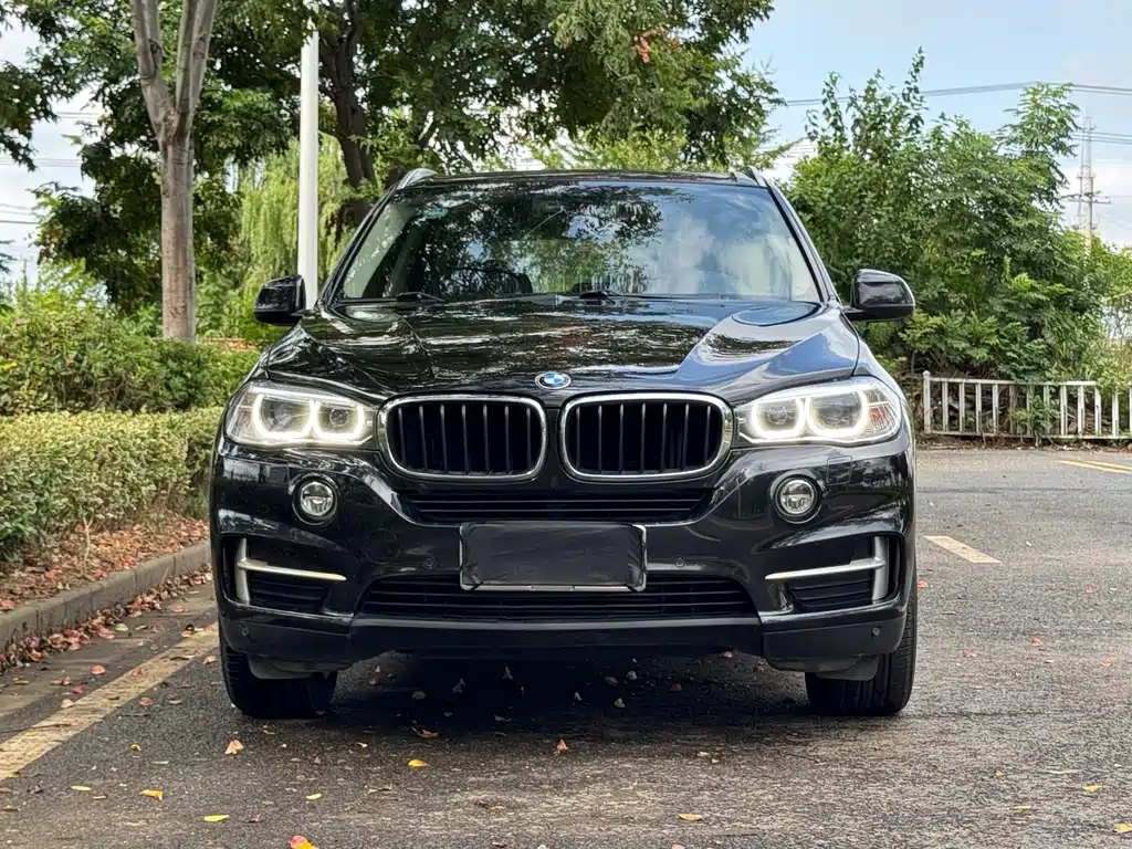 BMW X5 (Import) — миниатюра 2