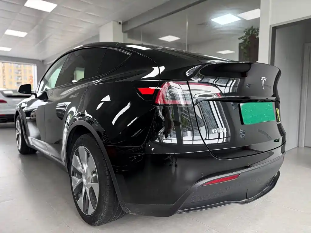 Tesla Model Y — миниатюра 4