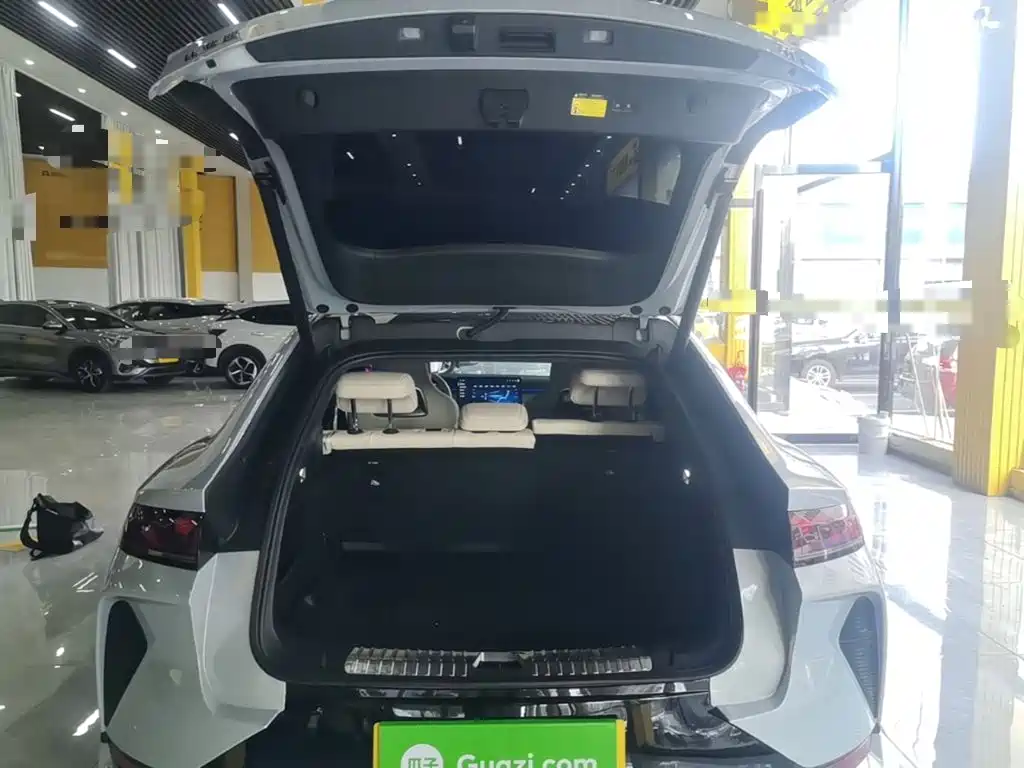 BYD L EV — миниатюра 19